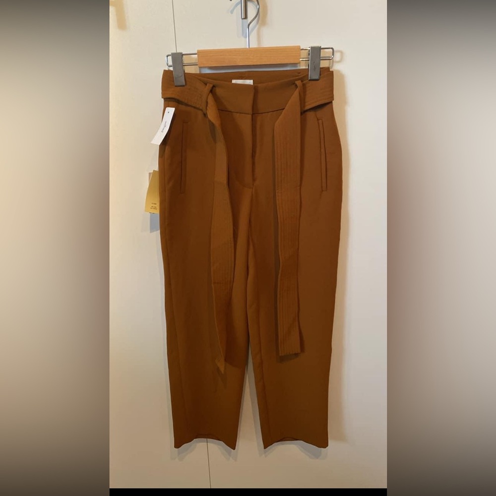 Aritzia pants